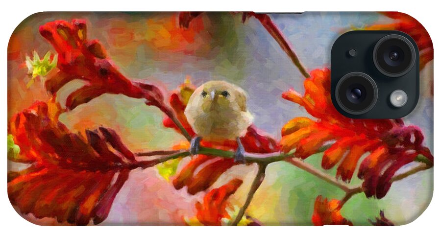 Nature iPhone Case featuring the painting Brown Finch on an Orange Kangaroo Paw by Chris Armytage