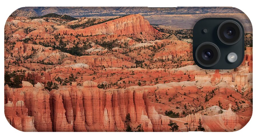Bryce Canyon iPhone Case featuring the photograph Bryce Canyon Evening Light by Jonathan Thompson