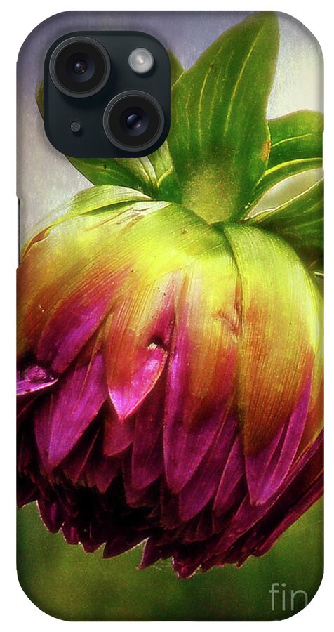 Toronto iPhone Case featuring the photograph Budding Dahlia by Lenore Locken
