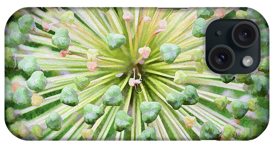 Toronto iPhone Case featuring the photograph Budding Hydrangea by Lenore Locken