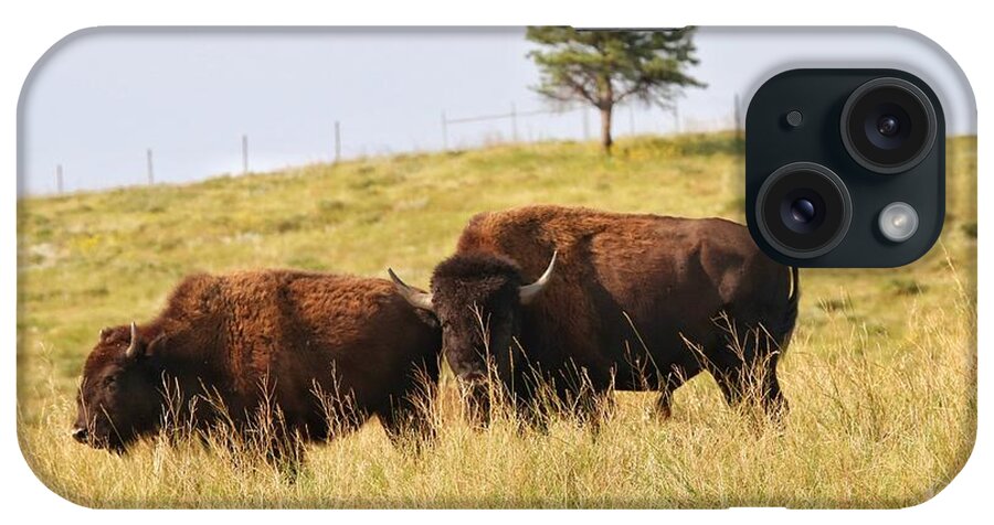 Buffalo iPhone Case featuring the photograph Buffalo at Custer State Park by Susan Jensen