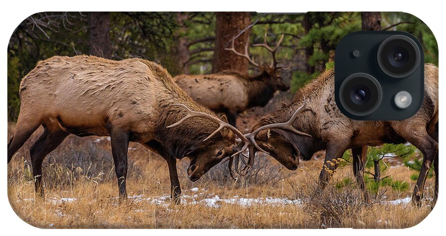National Parks iPhone Case featuring the photograph Bull Elks Fighting by Brenda Jacobs