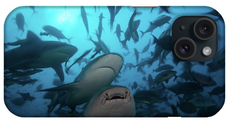 Animal iPhone Case featuring the digital art Bull Sharks Hunting In School Of Fish by Justin Lewis