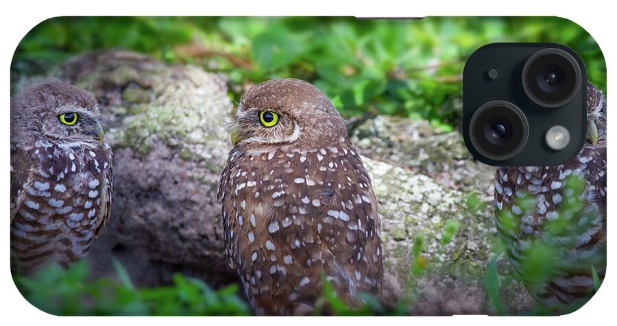 Owl iPhone Case featuring the photograph Burrowing Owl Family by Mark Andrew Thomas