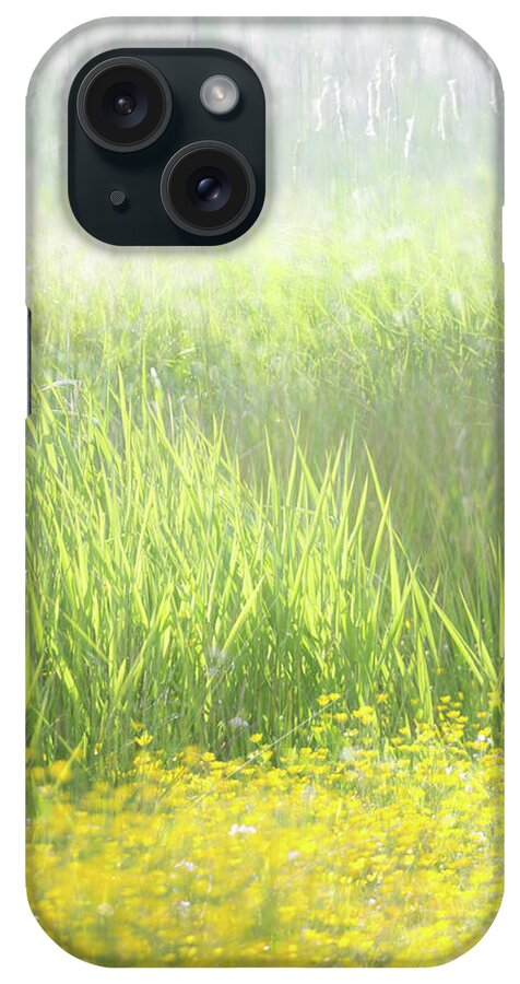 Buttercups iPhone Case featuring the photograph Buttercups and Bulrushes by Anita Nicholson