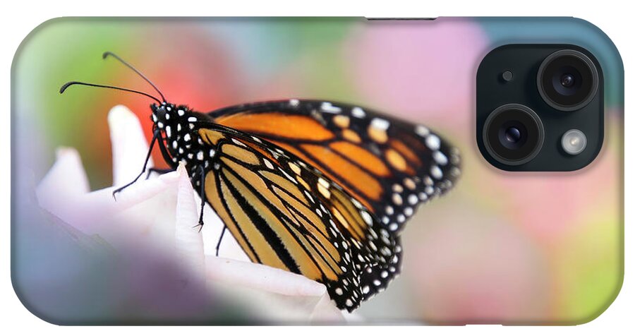 Butterfly iPhone Case featuring the photograph Butterfly Garden by Diana Haronis