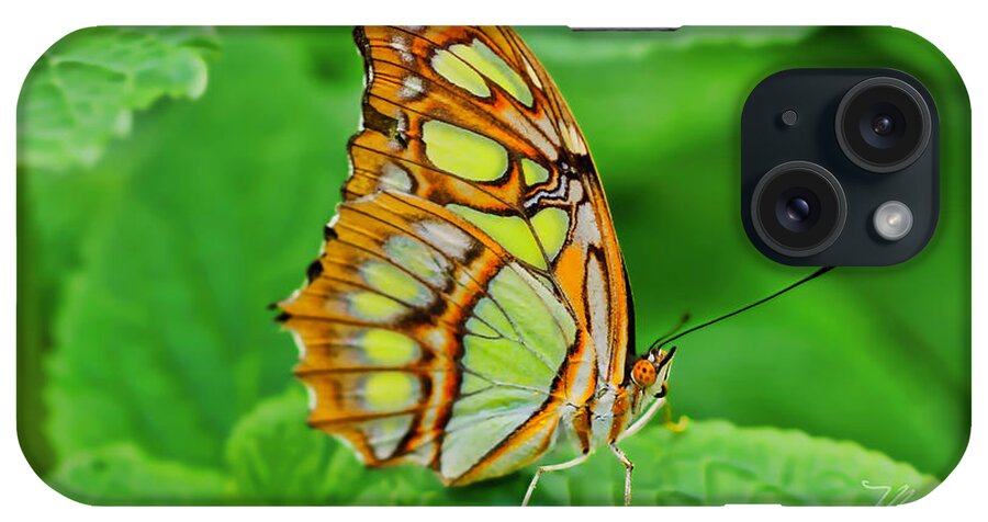 Macro Photography iPhone Case featuring the photograph Butterfly Leaf by Meta Gatschenberger