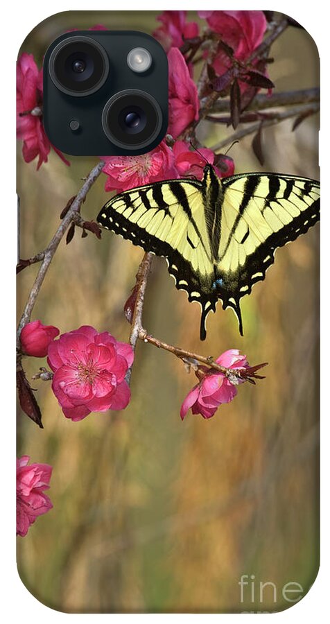 Butterflies iPhone Case featuring the photograph Butterfly Magic by Alan Schroeder