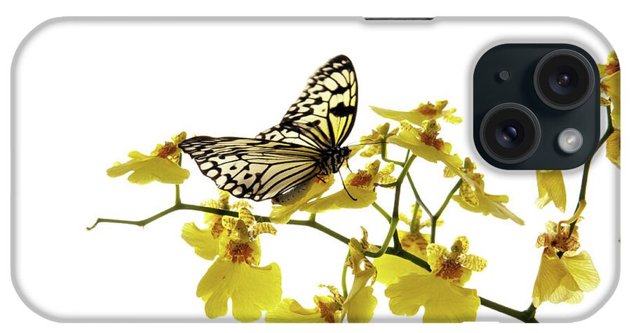 White Background iPhone Case featuring the photograph Butterfly On Orchid by Mashabuba