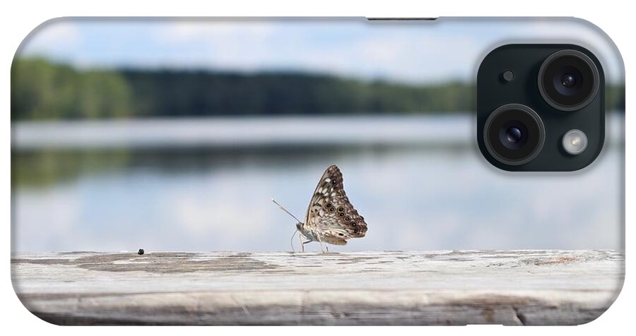 Outside iPhone Case featuring the photograph Butterfly on Railing by Steven Gordon