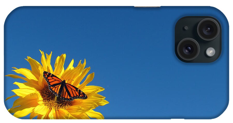 Orange Color iPhone Case featuring the photograph Butterfly On Sunflower by Damon Bay
