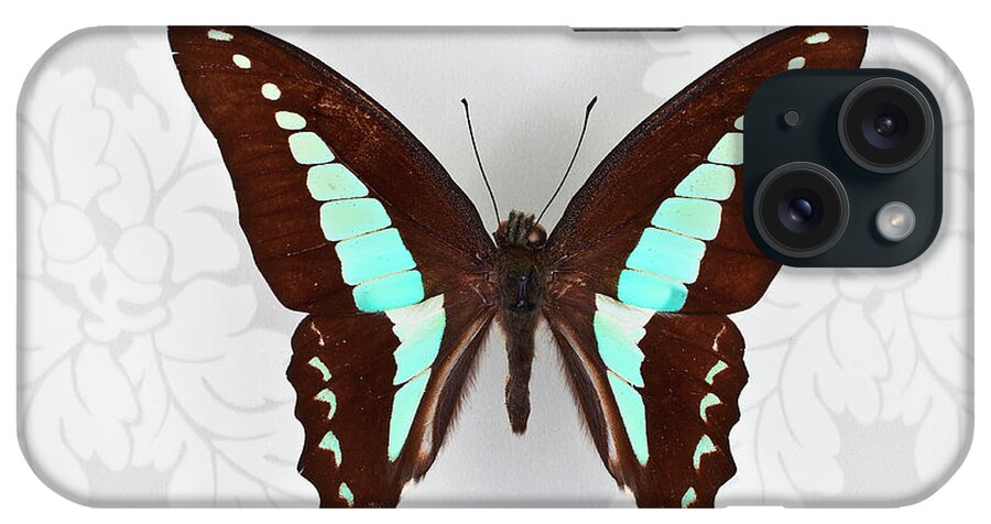 One Animal iPhone Case featuring the photograph Butterfly On Wallpaper Background by William Andrew