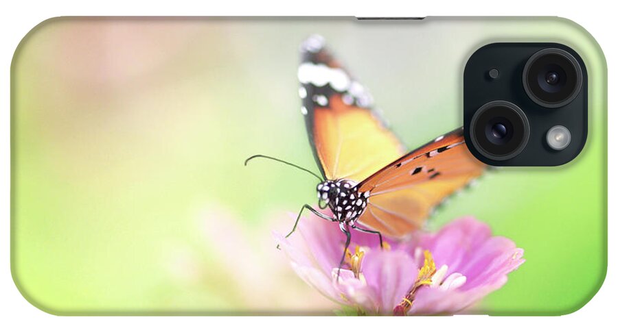 Insect iPhone Case featuring the photograph Butterfly Rainbow by Sharon Lapkin