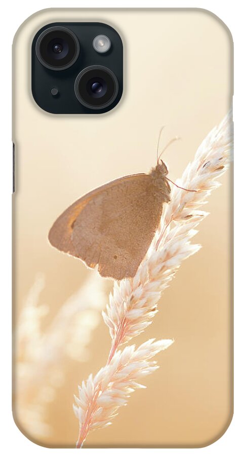 Nature iPhone Case featuring the photograph Butterfly resting on grass on a summer's evening by Anita Nicholson