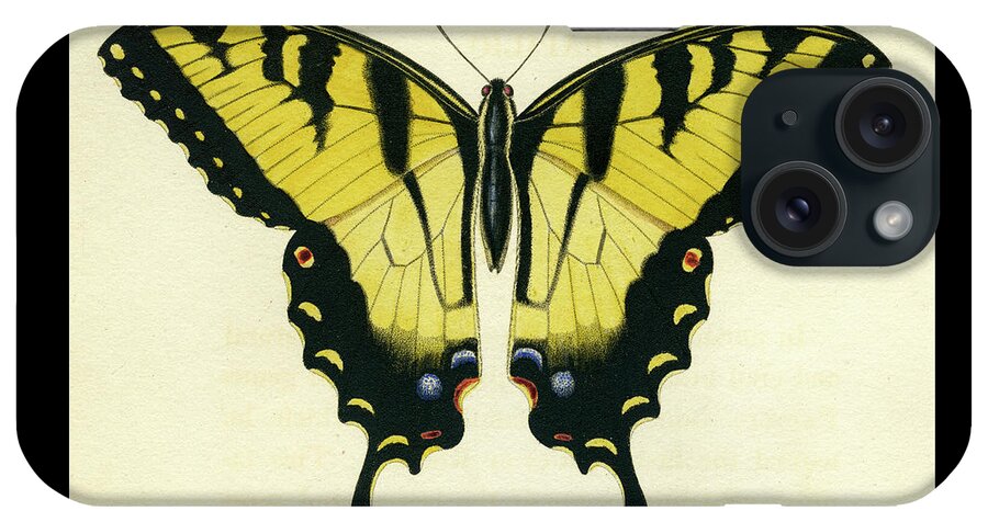 Entomology iPhone Case featuring the mixed media Butterfly by Unknown