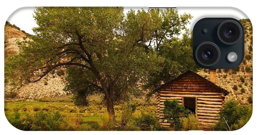 Cabin iPhone Case featuring the photograph Cabin next to a tree by Jeff Swan