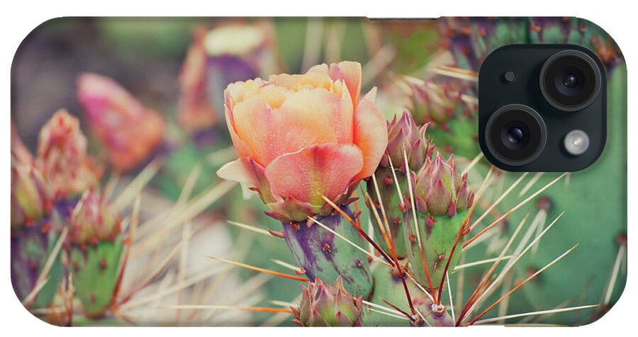 Orange Color iPhone Case featuring the photograph Cactus Blossom by Harpazo hope