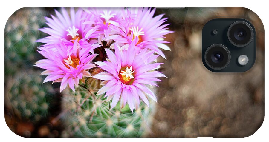 Needle iPhone Case featuring the photograph Cactus Flowers by Ivanastar