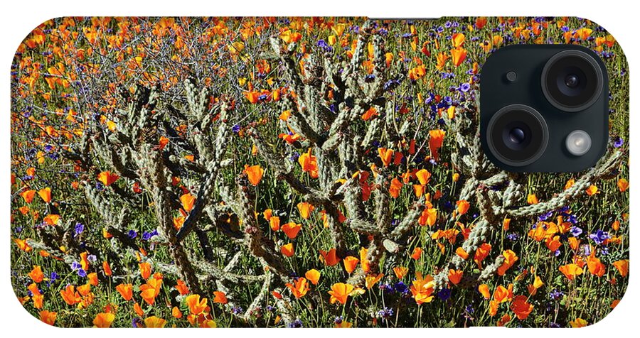 Poppies iPhone Case featuring the photograph Cactus Poppies and Bluebells by Glenn McCarthy Art and Photography