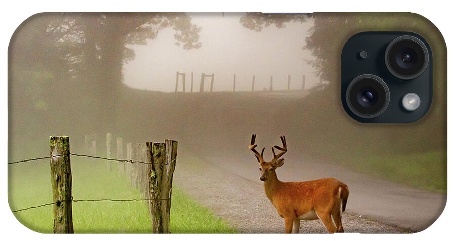 Cades Cove iPhone Case featuring the photograph Cades Cove Buck on a Foggy Morning by Marcy Wielfaert