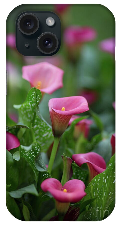 Calla Lilies iPhone Case featuring the photograph Calla Lilies by Eva Lechner