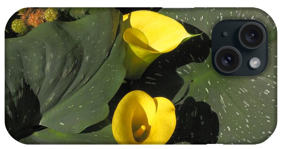 Botanical iPhone Case featuring the photograph Calla Lily Berries by Richard Thomas