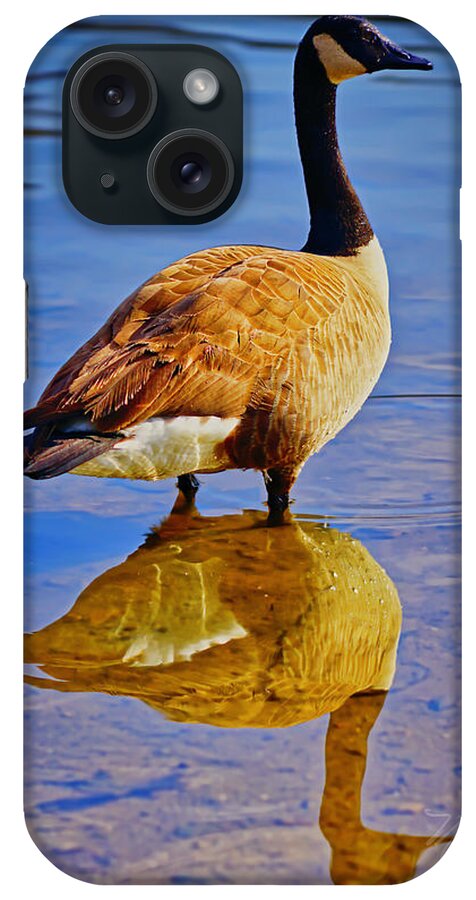 Canada Goose iPhone Case featuring the photograph Canadian Goose by Meta Gatschenberger