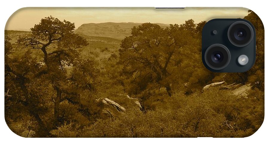 Vista iPhone Case featuring the photograph Canyon View by Debra Grace Addison
