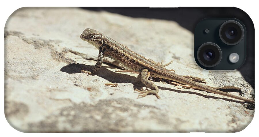 Lizard iPhone Case featuring the photograph Canyonland 19 by Gordon Semmens