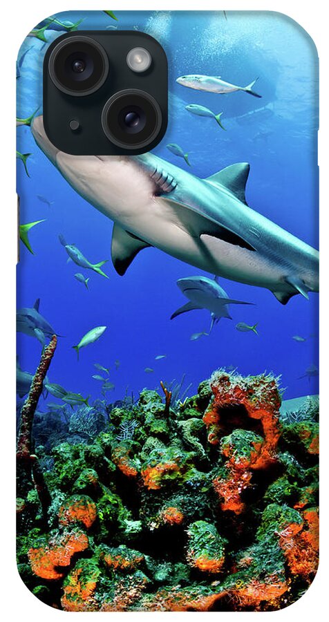 Underwater iPhone Case featuring the photograph Caribbean Reef Shark And Reef by Todd Bretl Photography
