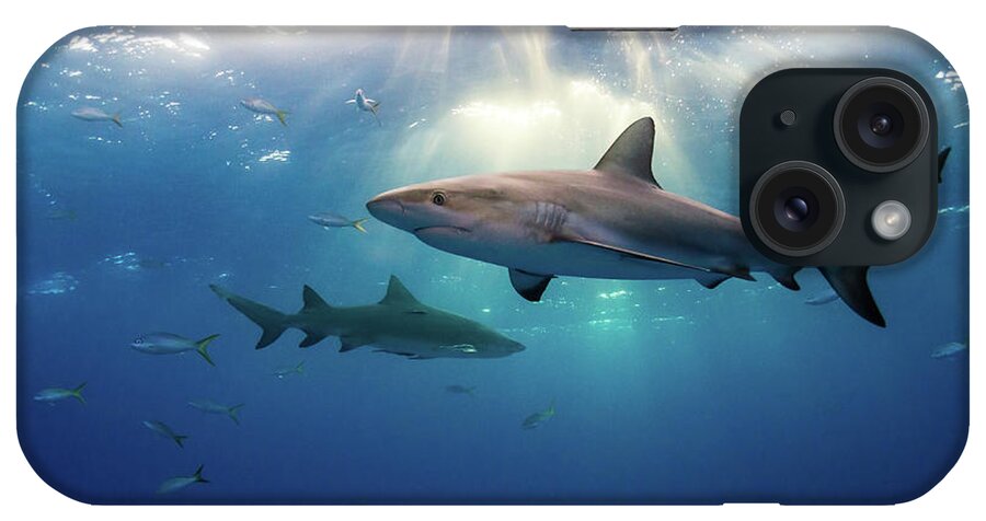Underwater iPhone Case featuring the photograph Caribbean Reef Sharks And Sun Rays by Todd Bretl Photography