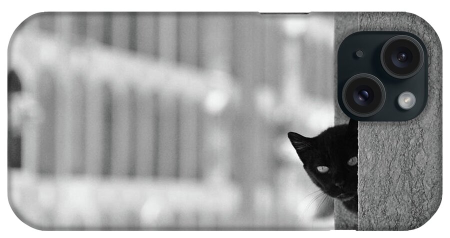 Pets iPhone Case featuring the photograph Cat In Cemetery by All Copyrights Reserved By Harris Hui