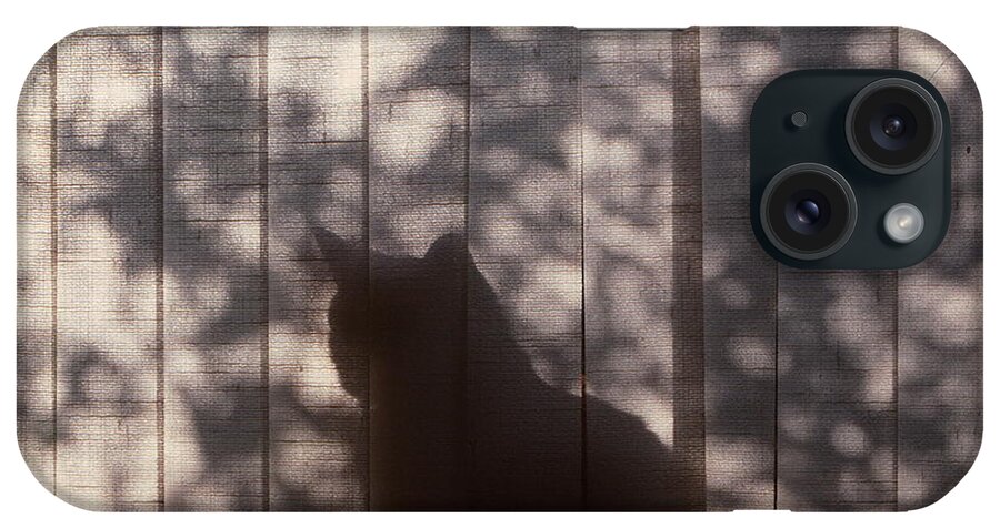 Cat iPhone Case featuring the photograph Cat Silhouette by Marty Klar