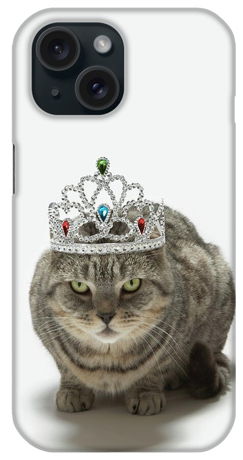 Crown iPhone Case featuring the photograph Cat Wearing A Tiara by Tim Macpherson