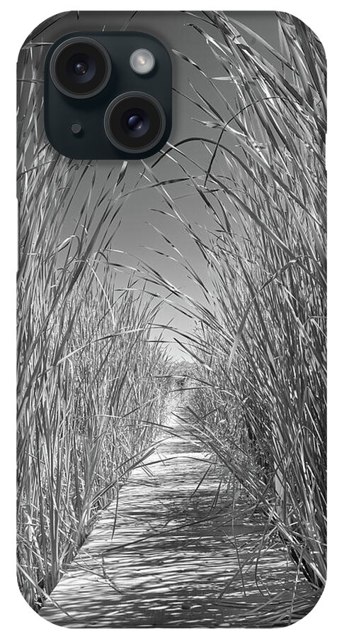 Cattails iPhone Case featuring the photograph Cattails by Jim Hughes