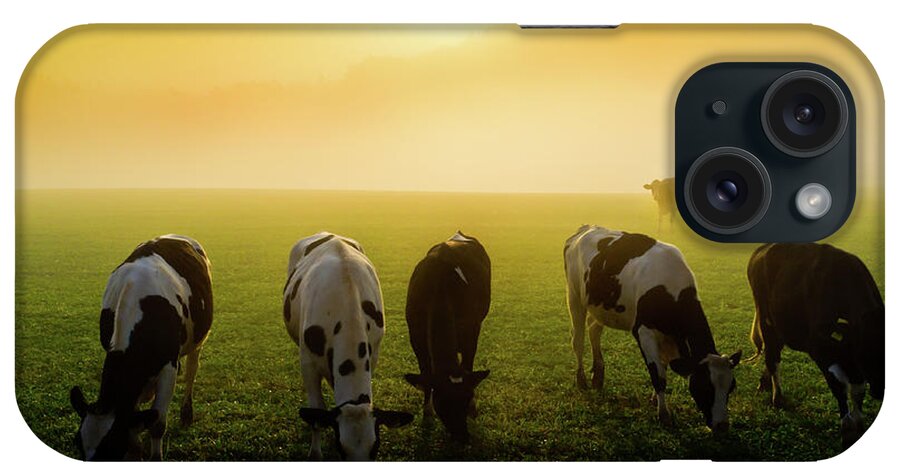 Scenics iPhone Case featuring the photograph Cattle At Sunset by Vm