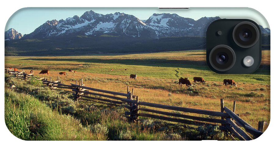 Grass iPhone Case featuring the photograph Cattle Graze Under The Sawtooth Mtns by Simon Russell