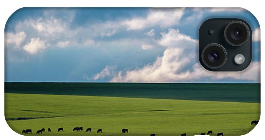 Cattle iPhone Case featuring the photograph Cattle on the Flint Hills Prairie by Jeff Phillippi