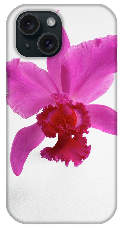 Cut Out iPhone Case featuring the photograph Cattleya Orchid by Lew Robertson
