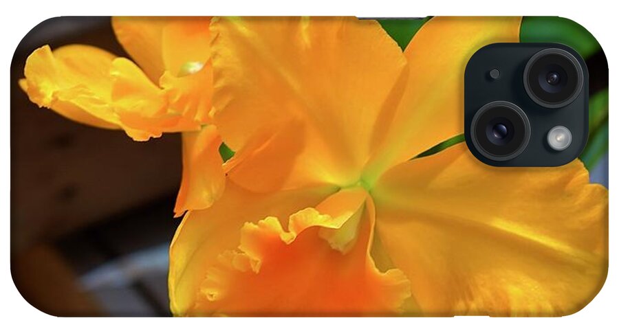 #cattleya #orchid #orange #garyfrichards #gary #richards #petals #ruffledpetals #white #blooms #blooms #marieselbybotanicalgarden #botanical #garden #sarasota #florida #usa iPhone Case featuring the digital art Cattleya Orchid Orange by Gary F Richards