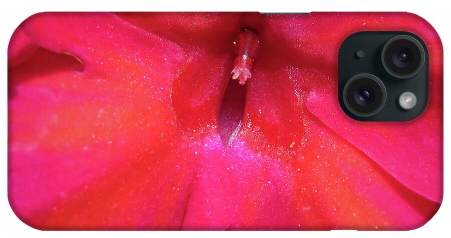 Flowers iPhone Case featuring the photograph Center of Attention by David Coblitz