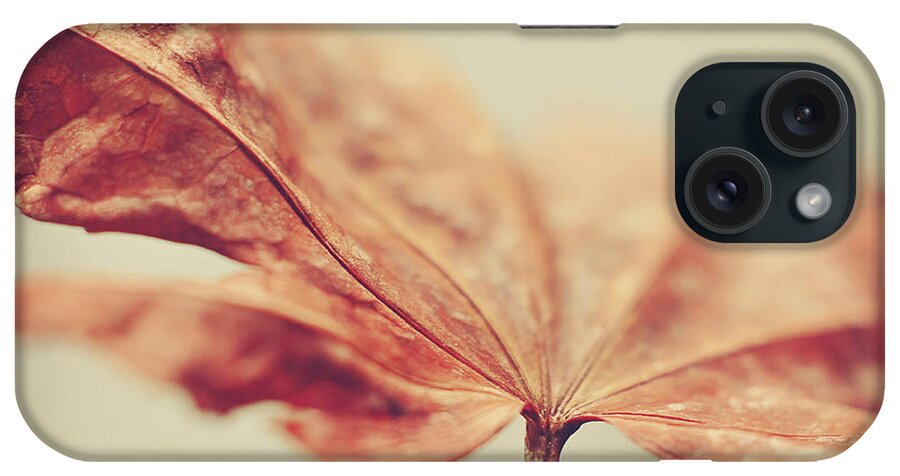 Rust Colored iPhone Case featuring the photograph Central Focus by Michelle Wermuth