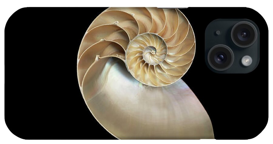 Natural Pattern iPhone Case featuring the photograph Chambered Nautilus Nautilus Sp., Cross by Mike Hill