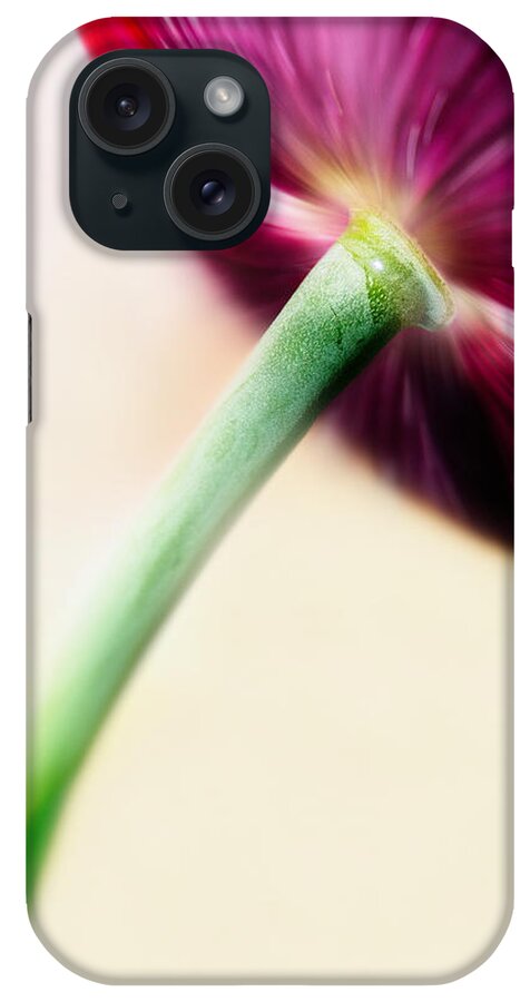 Charm iPhone Case featuring the photograph Poppy Charm by Jaroslav Buna