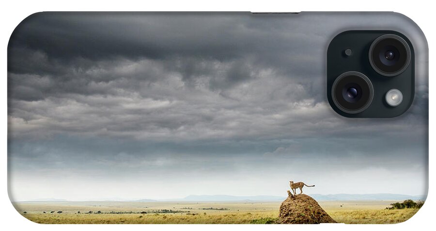 Scenics iPhone Case featuring the photograph Cheetah And Cub And Stormy Sky by Mike Hill