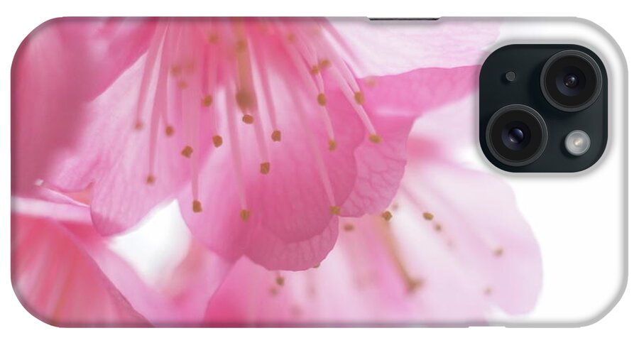 Petal iPhone Case featuring the photograph Cherry Blossom by Gen Umekita