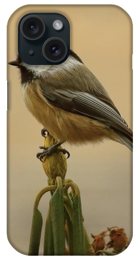 Wildlife iPhone Case featuring the photograph Chickadee On Rhododendron by Dale Kauzlaric