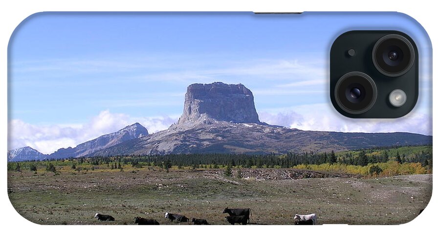 Cow iPhone Case featuring the photograph Chief Mountain In Glacier National Park by Donna62