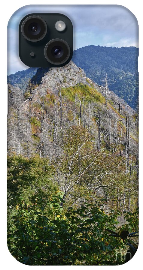 Chimney Tops iPhone Case featuring the photograph Chimney Tops 7 by Phil Perkins