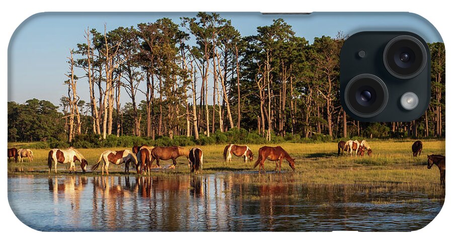 Grass iPhone Case featuring the photograph chincoteague Island ponies by Louis Dallara